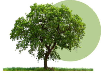 tree-savings