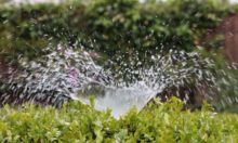Solar For Irrigation: A Comparative Assessment Of Deployment Strategies