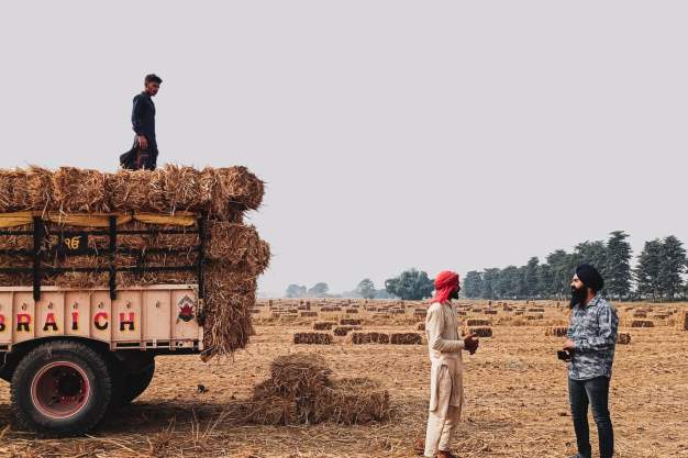 Stubble Burning in Punjab: Will 2024 be the Turning Point?