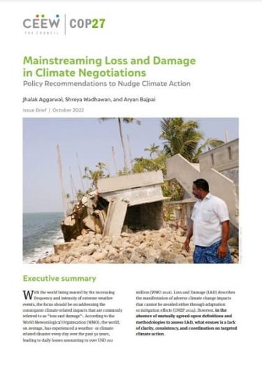 Climate Loss And Damage: Climate Action Policy Recommendations